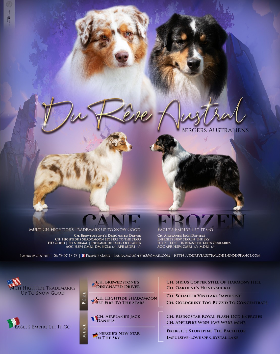 Du Rêve Austral - Berger Australien - Portée née le 28/12/2025