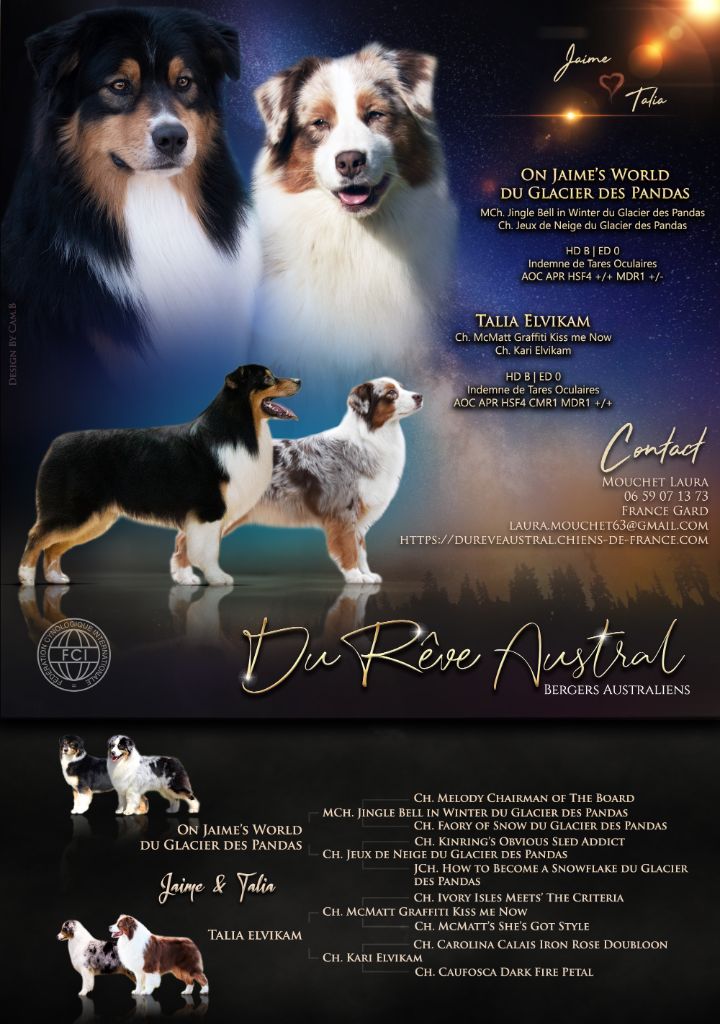 Du Rêve Austral - Berger Australien - Portée née le 22/01/2023